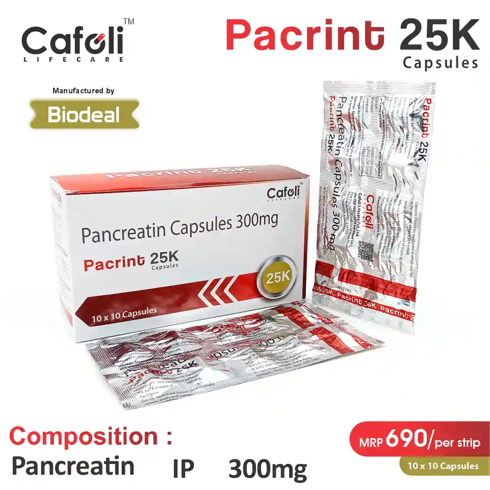 Pancreatin 300mg | Best price for PCD Pharma Franchise | Enzyme therapy for pancreatic insufficiency & digestion support